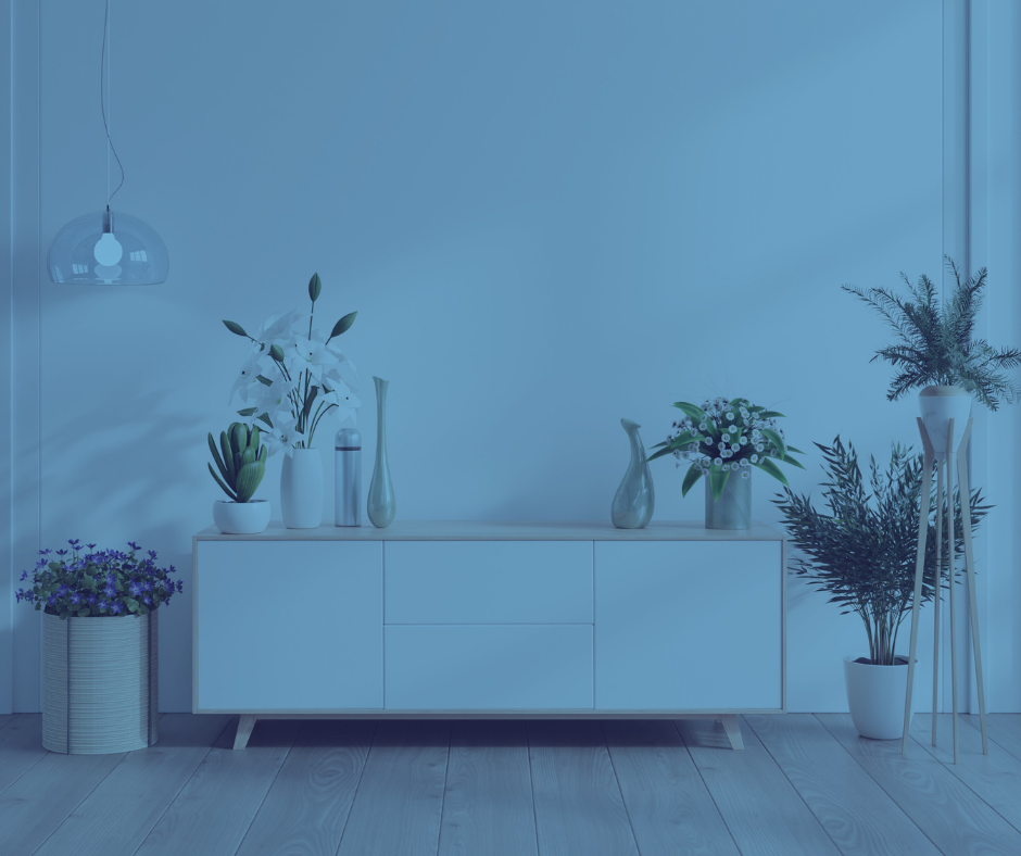 Best Indoor Plants for Your Home – And Their Benefits! 