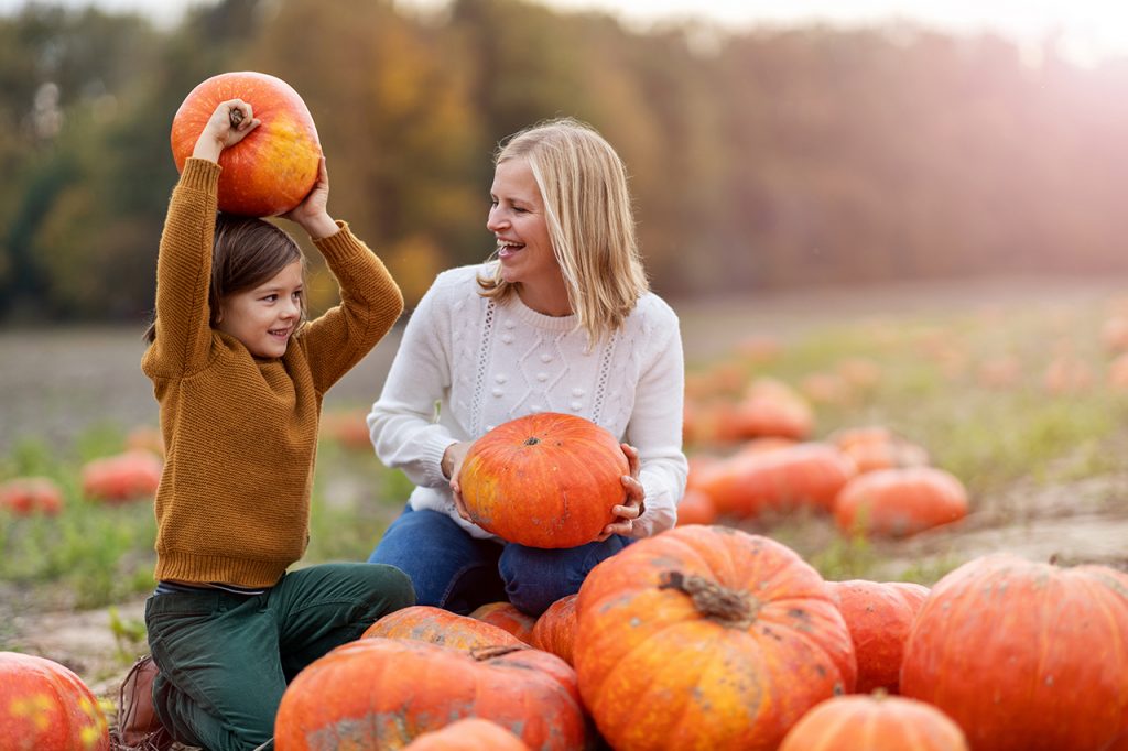 Fall activities- pumpkin picking